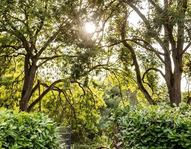 Wellness Lakehouse Mit Sauna, Whirlpool In Der
